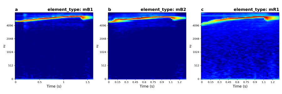 spectrograms_marmoset_elements.png