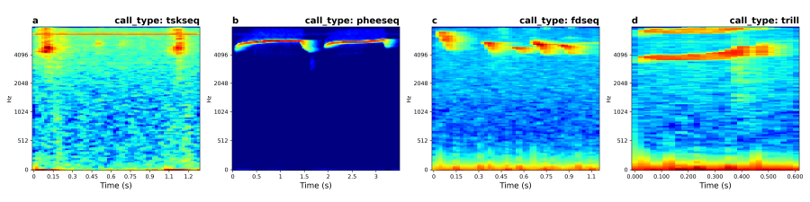 spectrograms_marmoset_sequences.png