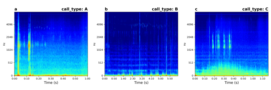 spectrograms_titi.png